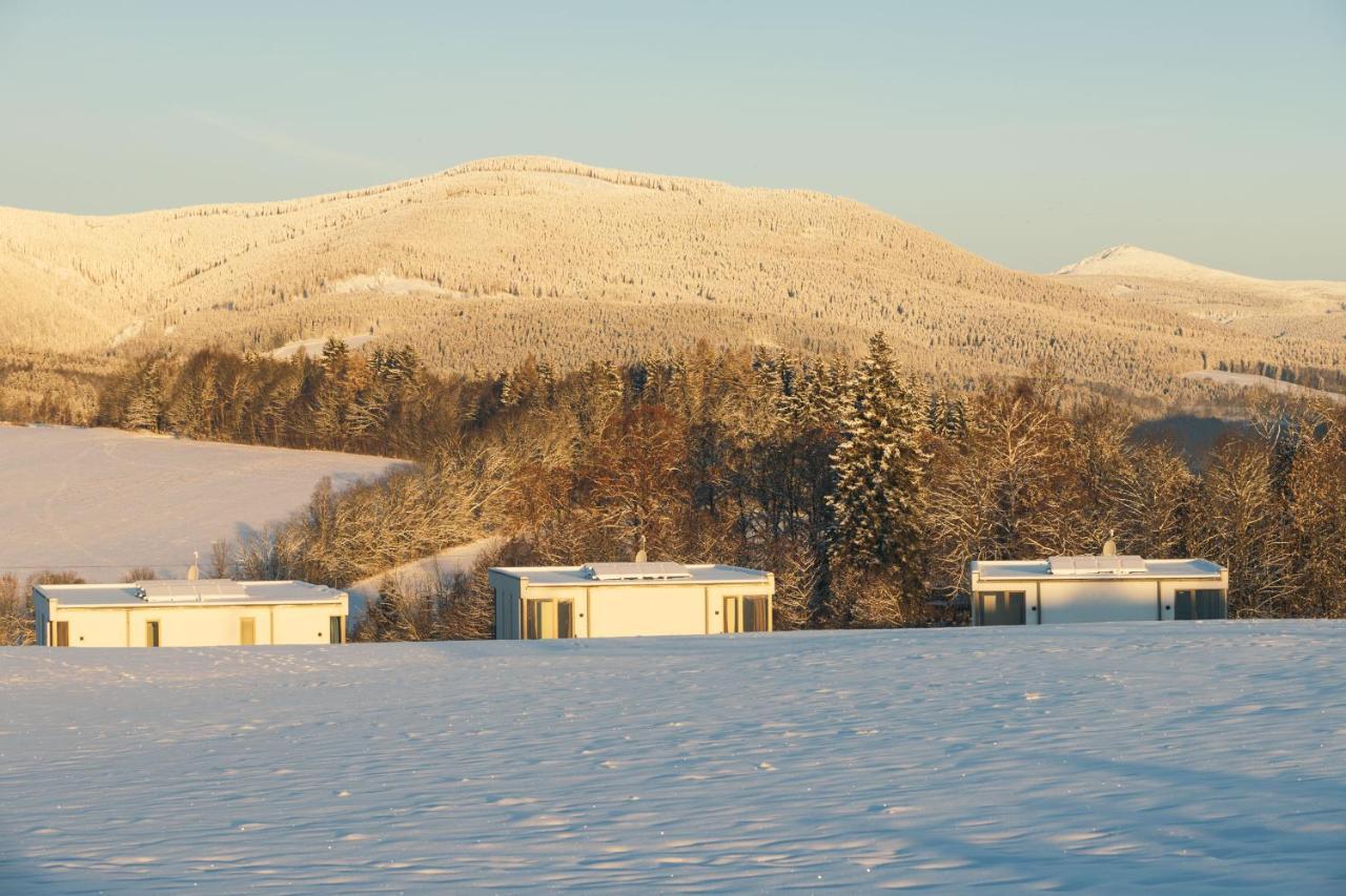 Apartmány HRÁDEČEK Mladé Buky Exterior foto